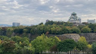 Osaka Castle12112024 [upl. by Annoyt]