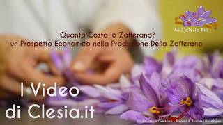 Quanto Costa Lo Zafferano  Un Prospetto Economico Parte 1 [upl. by Flower]