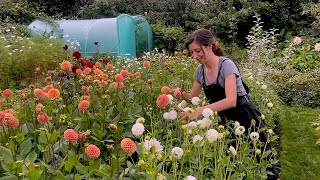 August Allotment Garden Tour 2023 [upl. by Alina914]