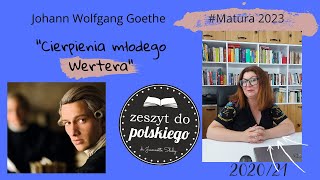 Zeszyt do polskiego J W Goethe quotCierpienia młodego Werteraquot [upl. by Berman]