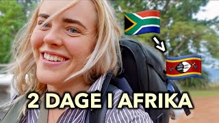 Rejser fra Sydafrika til Eswatini🦁🐘⛺️ [upl. by Annet1]