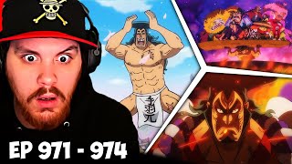 One Piece Episode 971 972 973 974 Reaction  Oden Wouldnt Be Oden If It Wasnt Boiled [upl. by Jarred]