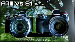 STABILISATION Test Sony A7III VS Panasonic S1 [upl. by Lindsley]