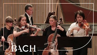 Bach  Concerto for two violins in D minor BWV 1043  Sato and Deans  Netherlands Bach Society [upl. by Calbert357]