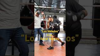 No se pierdan la sección quotLos Voladosquot con David Tavares 🥊 [upl. by Posner]