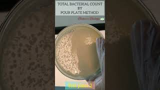 Total bacterialMesophilicPlateColony Count by pour plate method Bioburden TestTSA Agar [upl. by Estelle]