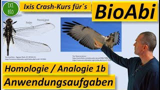 Homologe und analoge Organe Anwendungsaufgaben 1b BegründenBeurteilen BioAbi Analogie Homologie [upl. by Ahsercul]