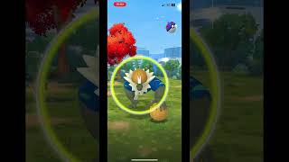 Shiny Passimian in Pokemon go pokemongo [upl. by Eleahcim22]