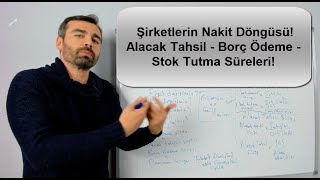 Şirketlerin Nakit Döngüsü Alacak Tahsil  Borç Ödeme  Stok Tutma Süreleri hissesenedi bilanço [upl. by Luana254]