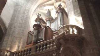 Orgue  Cathédrale NotreDame  Improvisation  Pâques 2009 [upl. by Emaj]