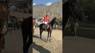 Adnan Ahmed Chitral A Team Player horse bestpolohorses horsesports chitral sporthorse arabian [upl. by Ahsal]