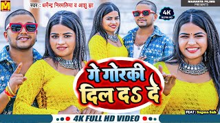 Video  गे गोरकी दिल द दे  Dharmendra Nirmaliya New Song  Ge Gorki Dil Da De  Aashu Jha [upl. by Gnilyam]