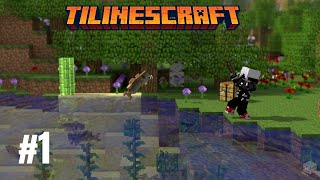 Mi Nueva NUEVA Vida en Minecraft  TILINESCRAFT 1 [upl. by Orlena220]