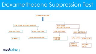 Dexamethasone Suppression Test How it is done and interpretation of the findings [upl. by Gentille]