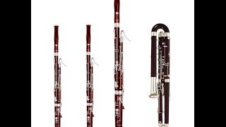 The Missing Bassoon [upl. by Bergren]