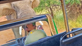 Elephant Picks up and Throws Truck full of Tourists [upl. by Alduino]