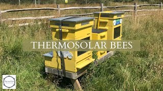 Thermosolar Hive Demo [upl. by Rabaj581]