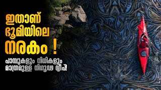 പാമ്പുകൾ മാത്രം വസിക്കുന്ന നിഗൂഢ ദ്വീപ്😱 Snake Island In Malayalam🐍  Storify [upl. by Dulcy]