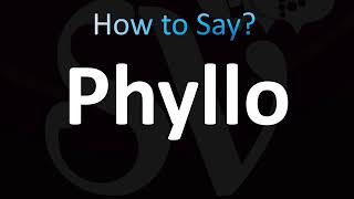 How to Pronounce Phyllo Correctly [upl. by Atnahsa409]