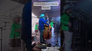 Bien chicoteado ese tololoche corridos regionalmexicano viralvideo musicamexico musica music [upl. by Venu]