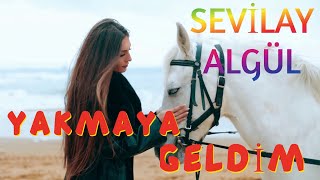 Sevilay Algül  Yakmaya Geldim [upl. by Ziana]