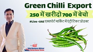 Green Chilli Export To Dubai From India  Green Chilly Dubai Export Price  Dubai Green Chilli Buyer [upl. by Ahseenal507]