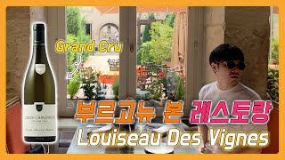 🇫🇷프랑스 부르고뉴 맛집 Louiseau Des Vignes글라스와인 리스트도 좋은 본Beaune [upl. by Aicenev59]