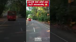 Ctb රෙස් ❤️ automobile 1millon teamsasindu trending bus 1million [upl. by Alur]