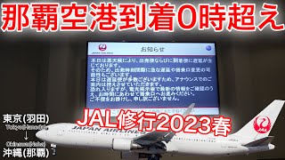 【JAL修行2023春】悪天候＋まさかの理由で大遅延で終電間に合わずタクシー代が無料に 日本航空 東京羽田→沖縄那覇 [upl. by Arlene]