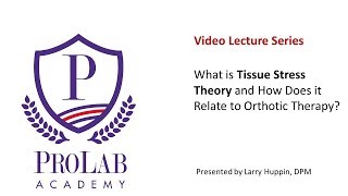 Tissue Stress Theory [upl. by Stulin]