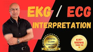 EKG Interpretation  Master Fundamentals of ECG  Electrocardiography [upl. by Buffum506]