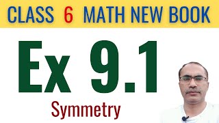 6Th Class Math Exercise 91  SNC New Syllabus 2024  Symmetry [upl. by Nirred]