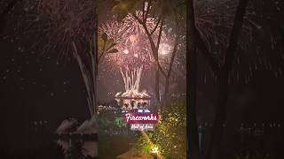 Fireworks Display  PyroMusical 2024 Mall of Asia fireworks shortsfeed moa pyromusical2024 [upl. by Elrae]