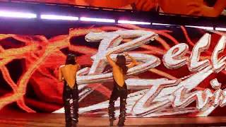 Bella Twins Old Entrance [upl. by Turino55]