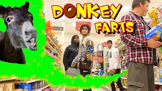 DONKEY FARTS 2 🐴🍩 Funny Fart Prank 🤣 [upl. by Dav528]