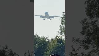 KLM LANDING AMSTERDAM SCHIPHOL AIRPORT  PLANE SPOTTING [upl. by Nagorb58]