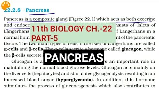 Class 11 BiologyCh22 Part5PancreasStudy with Farru [upl. by Hermosa]