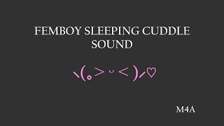 M4A ASMR Femboy Sleeping Cuddles Sound [upl. by Vivl]