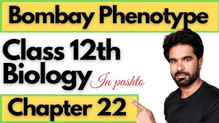 Bombay Phenotype  Class 12th Biology  Chapter 22 inheritance in pashto [upl. by Anyr191]