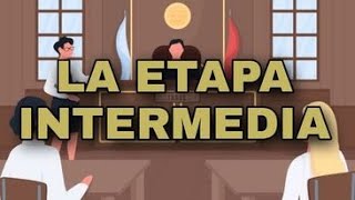 LA ETAPA INTERMEDIA  SISTEMA PENAL ACUSATORIO [upl. by Erde]