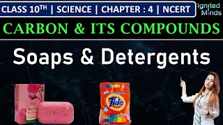 Class 10th Science  Soaps amp Detergents  Chapter 4 Carbon and its Compounds  NCERT [upl. by Otnas]