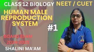 Introduction of Reproduction Class 12th I Reproduction in Organisms class 12 one shot NCERT I NEET [upl. by Staley]