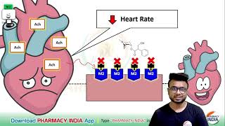 MECHANISM ACTION OF ATROPINE  PHARMACOLOGY [upl. by Ellehcyar]