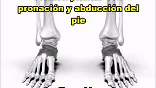 Flexión Plantar Con Pronación Y Abducción Del Pie Eversiòn [upl. by Redmer]