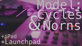 Norns  Launchpad  Model Cycles  iPad  ❤️ [upl. by Nats]