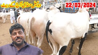 Today Domail Mandi Fatehjang Rate’s update 22Mar2024Part02Sunny Video Fateh Jang دومیل منڈی کے ریٹ [upl. by Thynne774]