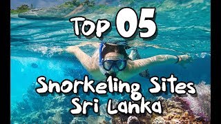 Top 5 Snorkeling Sites At Sri LankaYou must Visit [upl. by Cronin797]