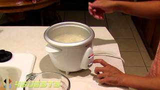 KITCHEN GOURMET RICE COOKER [upl. by Arutek]