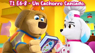 Temporada 1  Episodio 68  Un Cachorro Cansado  Cachorros a la Obra [upl. by Alaaj]