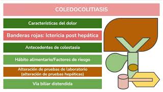 SEMIOLOGIA  SINDROMES VESICULARES PATOLOGIA BILIAR SINDROMES PANCREATICOS  SINDROME PERIAMPULAR [upl. by Linden]